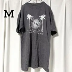 ⭐️バンズ 【M】クルーネック ヤシの木 半袖 Ｔシャツ グレー ストリートのサムネイル