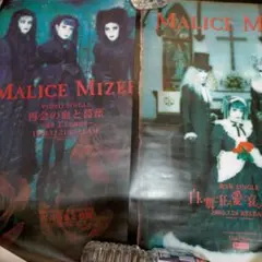 2025年最新】マリスミゼルVHSの人気アイテム - メルカリ