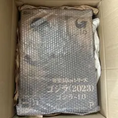 Item thumbnail for item 501fe297-bf9a-4864-aca6-9ad06624625f