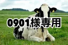 ターコイズ5、スカイブルー5、赤オレ5