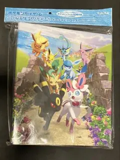 ポケモンカードゲーム コレクションファイル イーブイヒーローズ