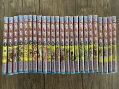 スティールボールラン　1-24巻　全巻セット シュリンク付き