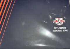 RB大宮アルディージャ 杉本健勇