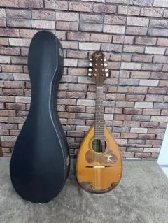 2025年最新】マンドリン スズキの人気アイテム - メルカリ