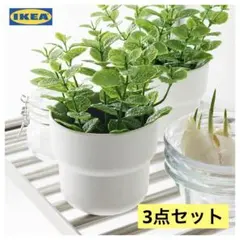 IKEA イケア FORENLIG フォーレンリグ 鉢カバー 室内屋外用 9cmのサムネイル
