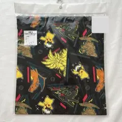 ポケモン　ピカチュウ　巾着Mサイズ　体操着袋　給食袋　お着替え袋　レックウザ