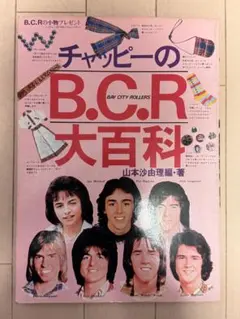 改訂版 バギーチャンプはキミだ！ 石黒良介 小学館入門百科シリーズ170