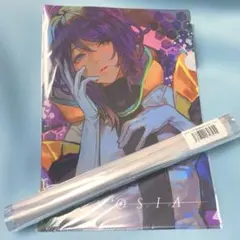 ヴィレヴァン　ジナ　セット