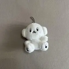 2025年最新】ミンギュ ぬいぐるみの人気アイテム - メルカリ