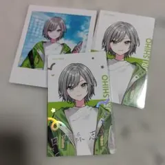 日野森志歩 エピカ 箔押し プロセカ セカライ 4th - メルカリ