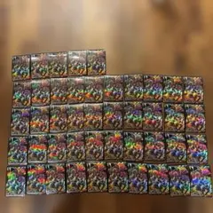 N*r様 遊戯王5D's公式カードプロテクター ブラックローズドラゴン