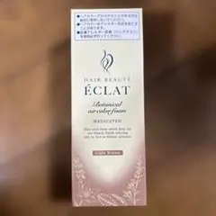 2025年最新】ヘアボーテエクラボタニカルエアカラーフォームの