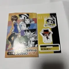 家庭教師ヒットマンreborn アクリルフィギュア&チャームコレクション　コンプ 駿河屋 -<中古>全7種セット 「家庭教師ヒットマンREBORN