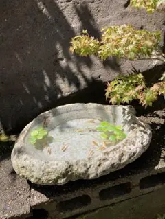 石鉢 水鉢 花器 メダカ鉢 金魚鉢 つくばい　庭石　自然石 石鉢 水鉢 花器 メダカ鉢 金魚鉢 つくばい 庭石 自然石 - メルカリ