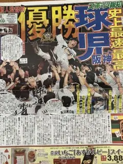 阪神タイガース優勝　スポーツ報知新聞2025年9月8日1部全て