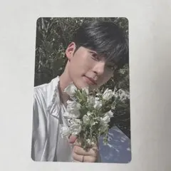 ゼベワン zb1 ハンビン　トレカ　ペンコン