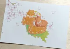 桜　シェットランドシープドッグ　いなり寿司　イラスト　ポストカード