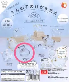 うちの子のけだまだま 犬 ［限定アソート 黒柴］