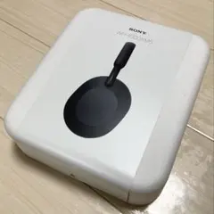 Item thumbnail for item 0aacb34f-f18a-4d7c-99f1-55bd85f0d933