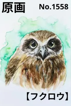 【フクロウ】手描きイラスト 原画 《1558》