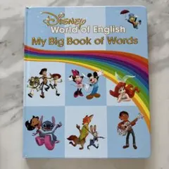 My Big Book of Words