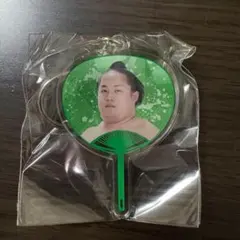 Item thumbnail for item 47f608e2-7b4c-41ad-90d5-9e7728dff655