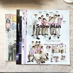 【まとめ売り】Snow Man　TV誌切り抜き