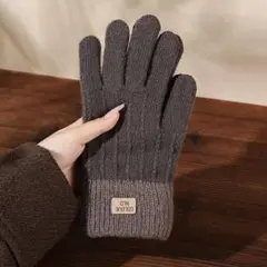 手袋 スマホ対応 タッチパネル 防寒 レディース メンズ 裏起毛 フリーサイズ