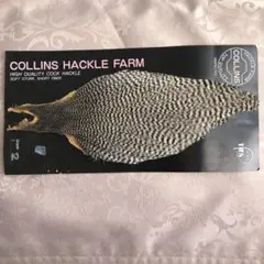 Item thumbnail for item 832d3308-369c-45d8-886d-7cee243b39b5