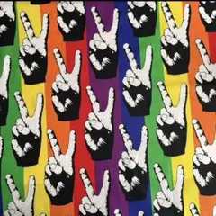ALEXANDER HENRY 　PEACE OUT PRIDE 生地　ハギレ