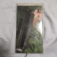 Item thumbnail for item 6b1d6cb4-d14a-4603-9323-e14852470184