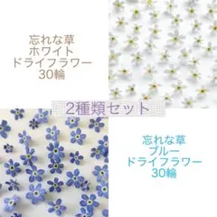 わすれなぐさ ブルー ホワイト 2種セット パーツ 素材 レジン
