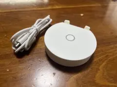 Item thumbnail for item 61c96b12-07ca-4715-b7b5-e6d402147314