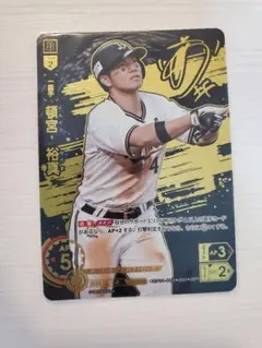 花火様 リクエスト まとめ出品