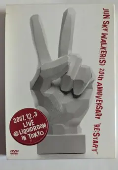 ジュンスカイウォーカーズ 直筆サイン入り JUN SKY WALKER(S) 直筆サイン色紙 TOY'S FACTORY VAP INC ジュン