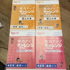 Item thumbnail for item eed8e910-6f49-4a4d-97fe-32aa6807cd79