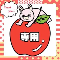 専用