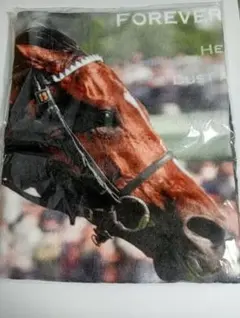 2026年最新】ドウデュース タオルの人気アイテム - メルカリ