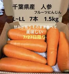 千葉県産　人参(フルーツにんじん) L~LL 7本　1.5kgのサムネイル