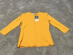 Item thumbnail for item 50997dd0-f865-40bc-81dc-b53ab8d337d3