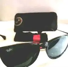 Ray-Ban ケース付き　ERIKA 4171-F 71 54□