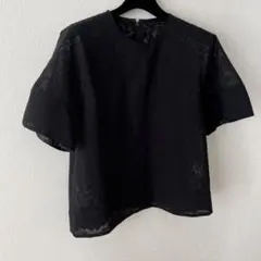 ルシェルブルー　シアーシャツブラウス　ブラック　36