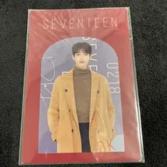 seventeen ドギョム　クリアカード＋ポストカード