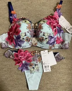 Wacoal サルート 秋の七草 復刻版 ブラジャー＆ショーツセット F75 M