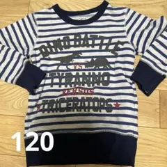 恐竜　ストライプ トレーナー　120