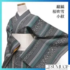 小紋　桜花　桜吹雪　縦縞　グリーン　着物　124a d