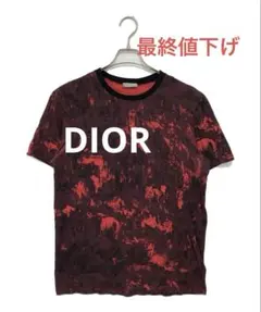 美品レア DIOR x Shawn Stussy XL - メルカリ