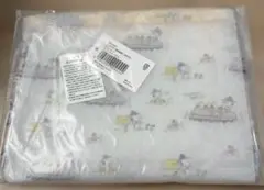 スヌーピー フラットポーチ　ビニール製　新品未開封