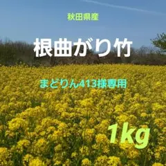 まどりん413様 専用 根曲がり竹 姫竹 1kg