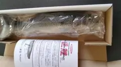 2025年最新】シグナル ウルトラカープの人気アイテム - メルカリ